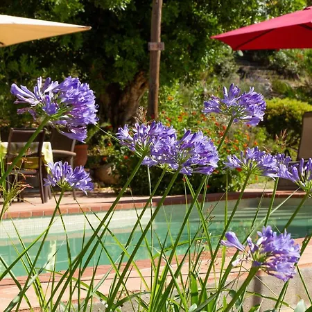 Casa vacanze Vivalidays Rabassa Santa Susanna